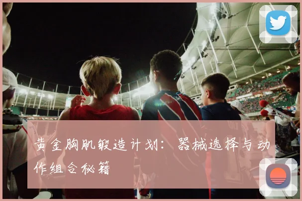 黄金胸肌锻造计划：器械选择与动作组合秘籍